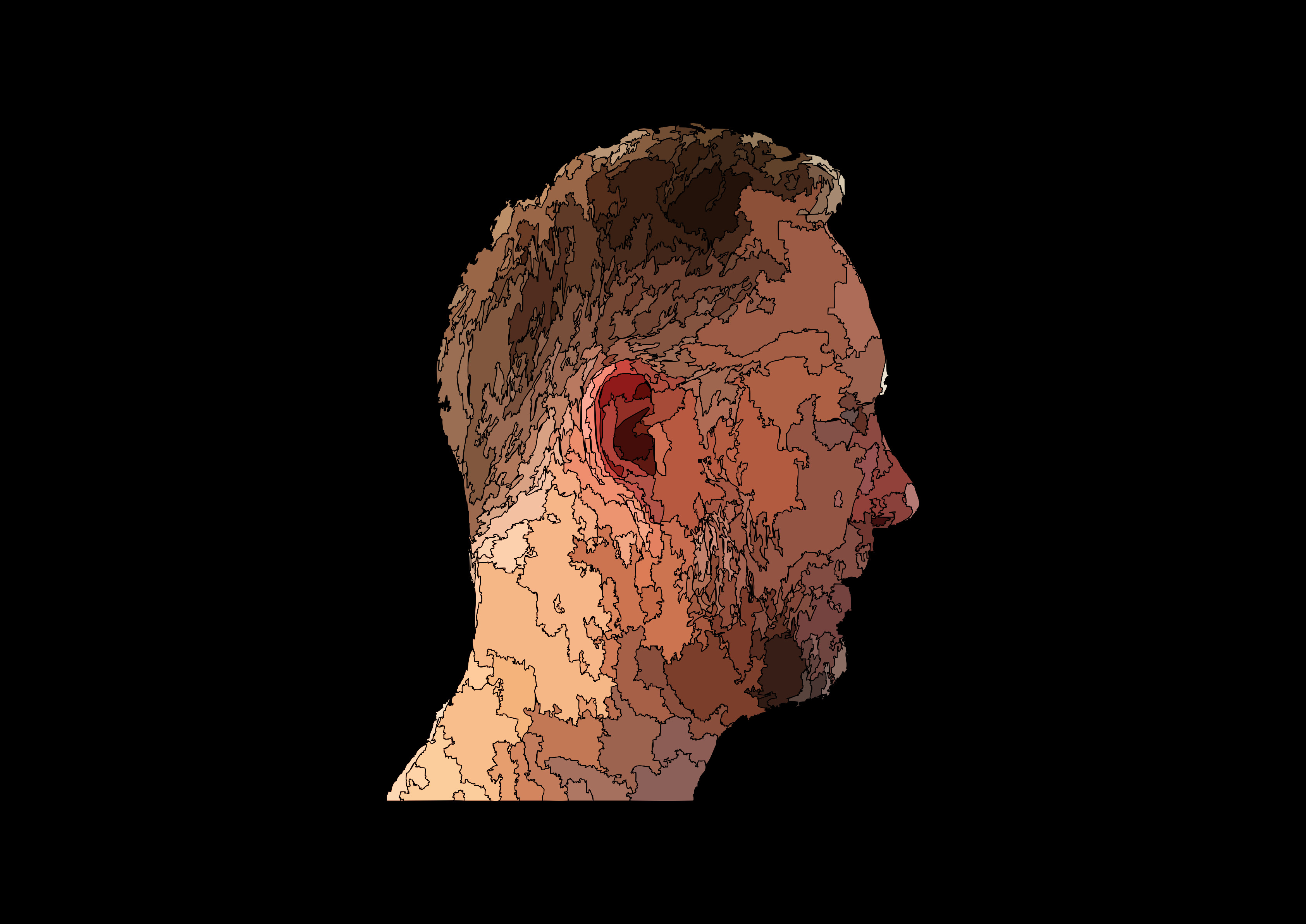 Bruno Temmerman - Portrait